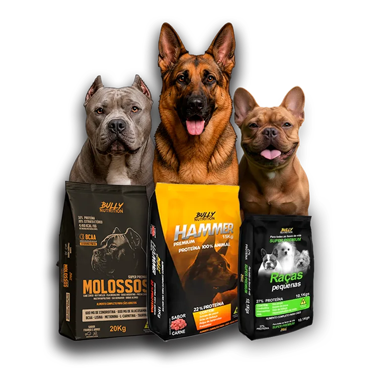 Cães ao lado das embalagens Bully Nutrition Molossos, Hammer e Raças Pequenas